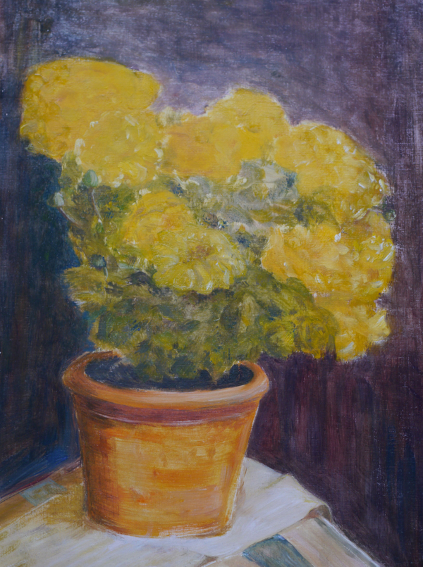 Fleurs jaunes -2012